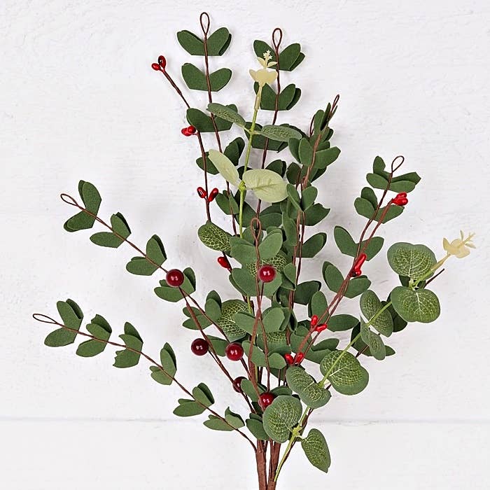 Euclyaptus with Red Berries