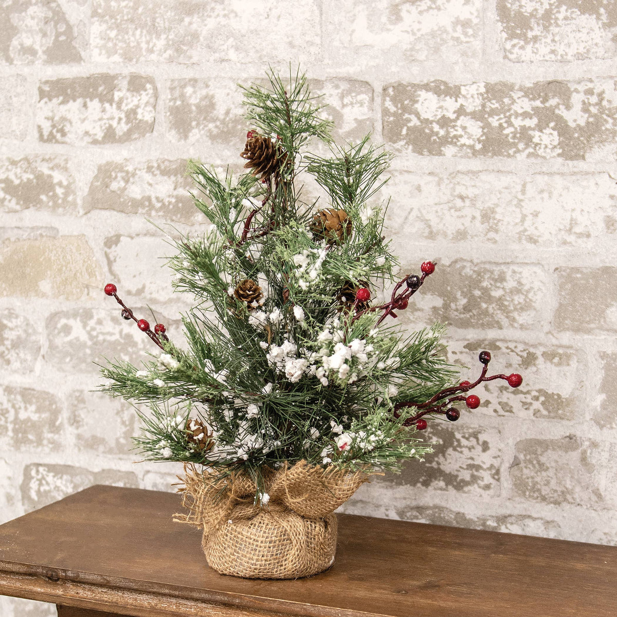 Snowy Brush Pine Tree