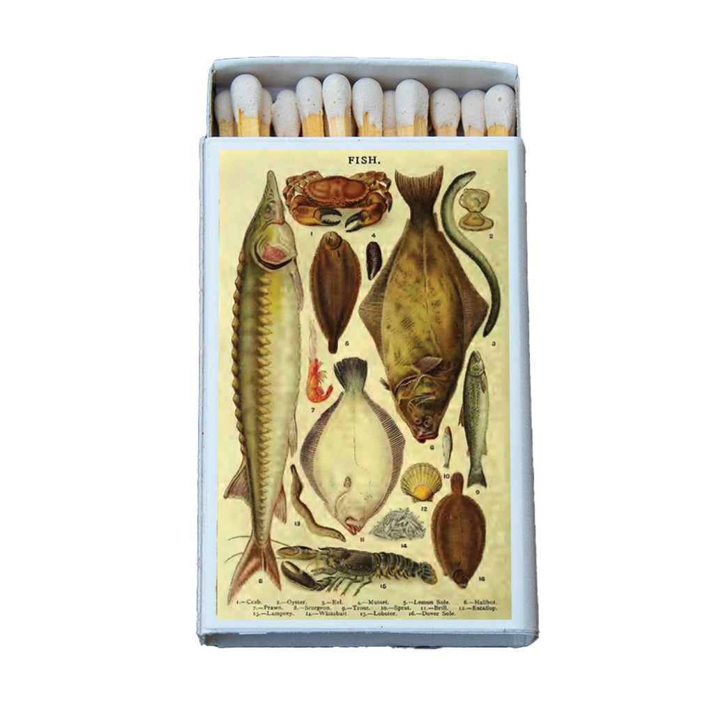 Matches • Fish Variety • Home Decor for Candles and Incense