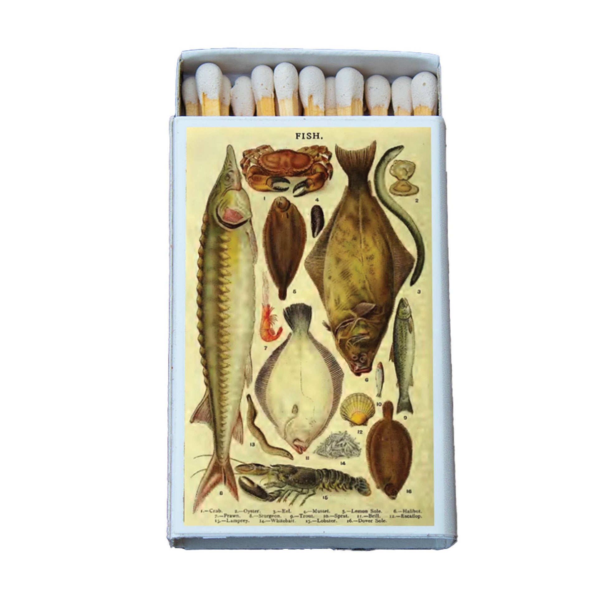 Matches • Fish Variety • Home Decor for Candles and Incense