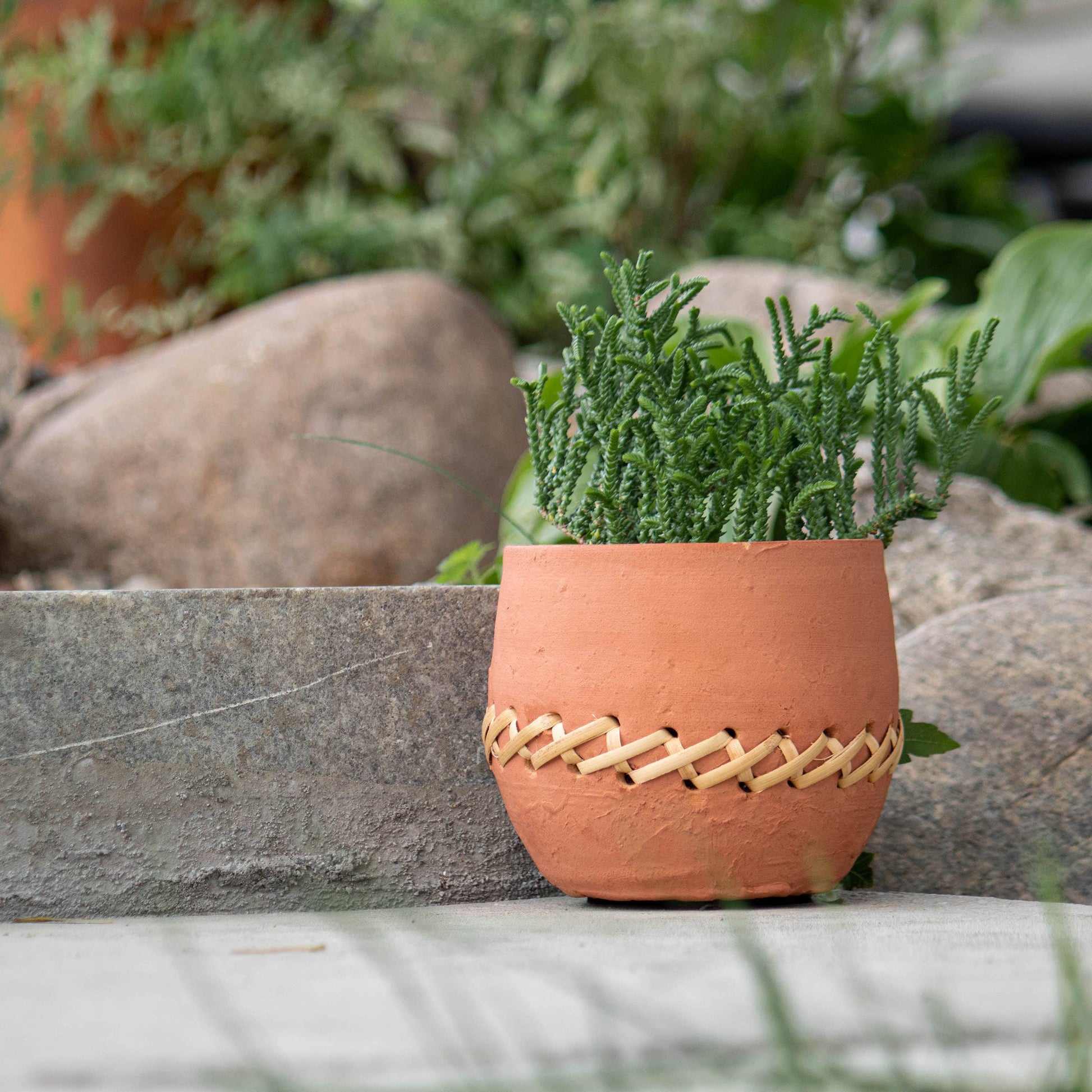 Mesa Terracotta Weave Planter