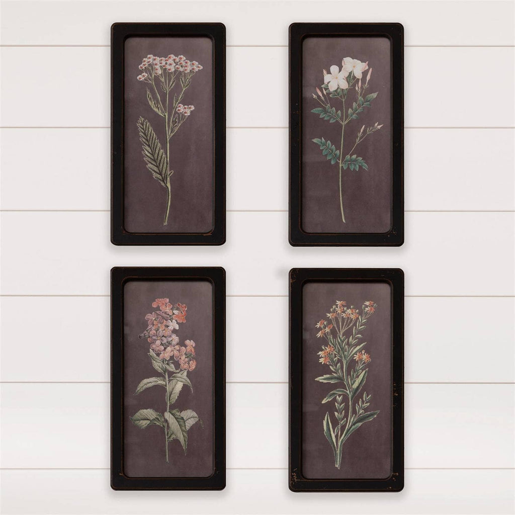 Black Ground Botanical Prints