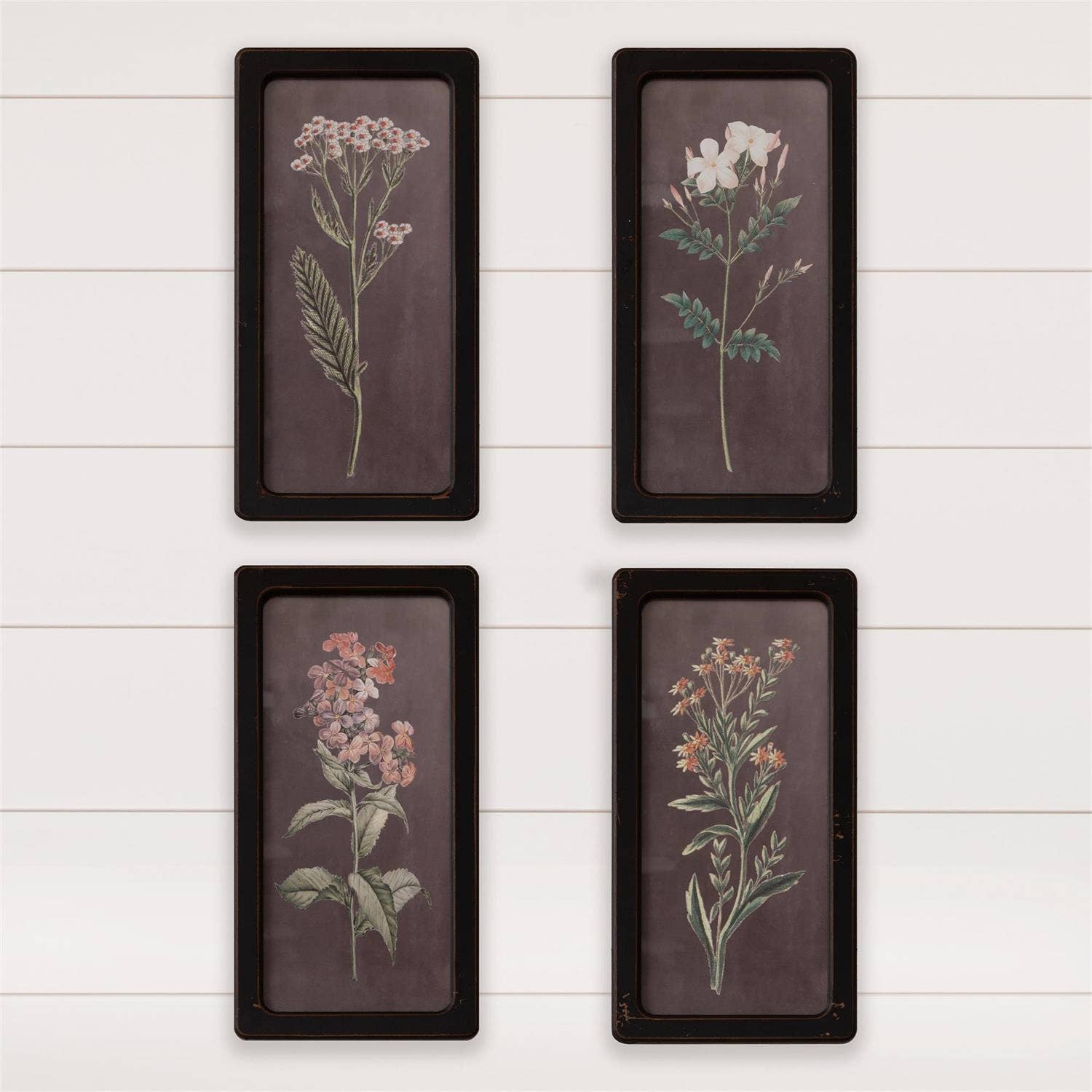 Black Ground Botanical Prints