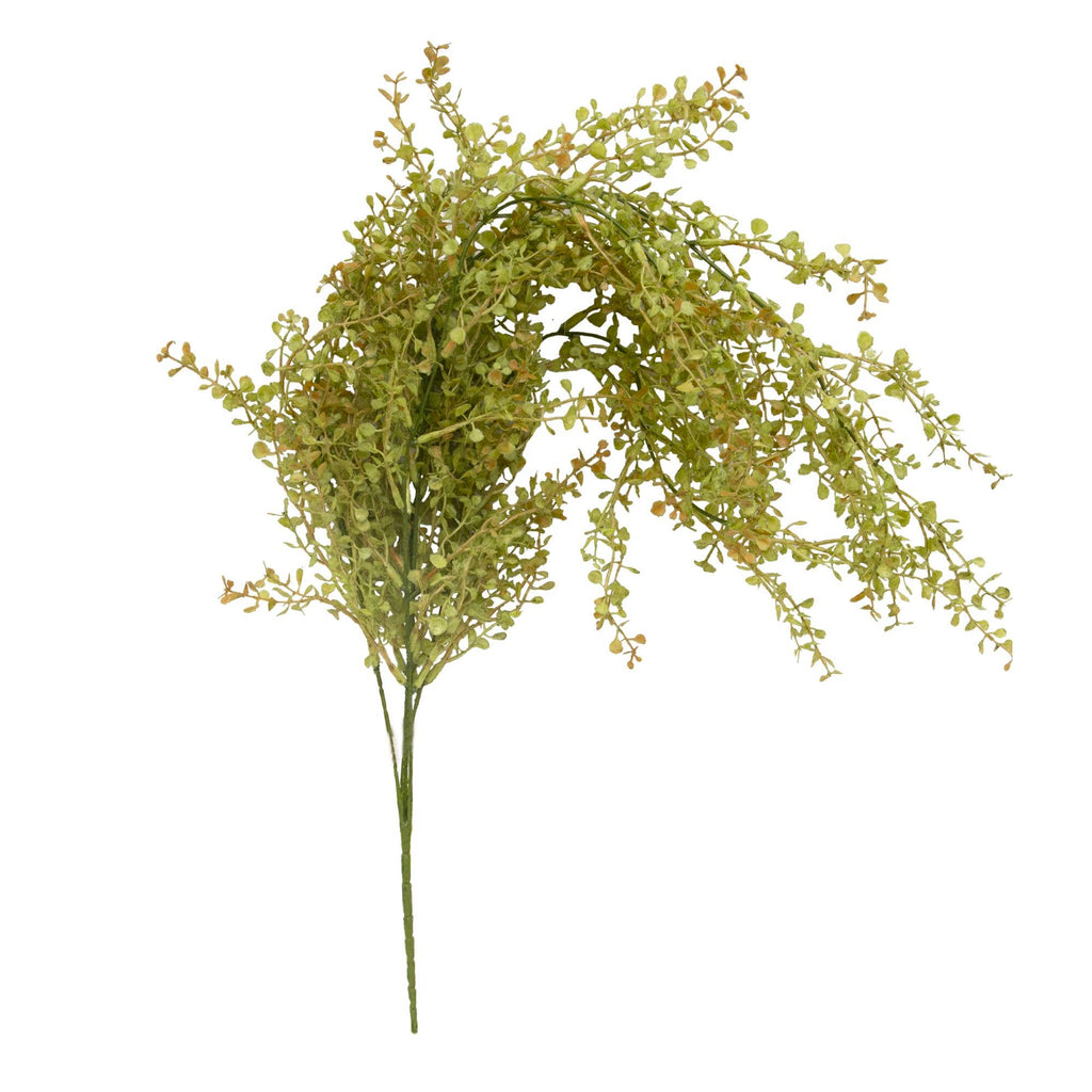 Baby's Grass Hanging Bush