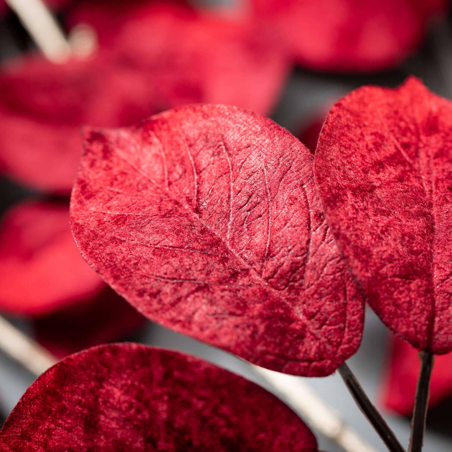 VIVID RED LEAFED SPRAY