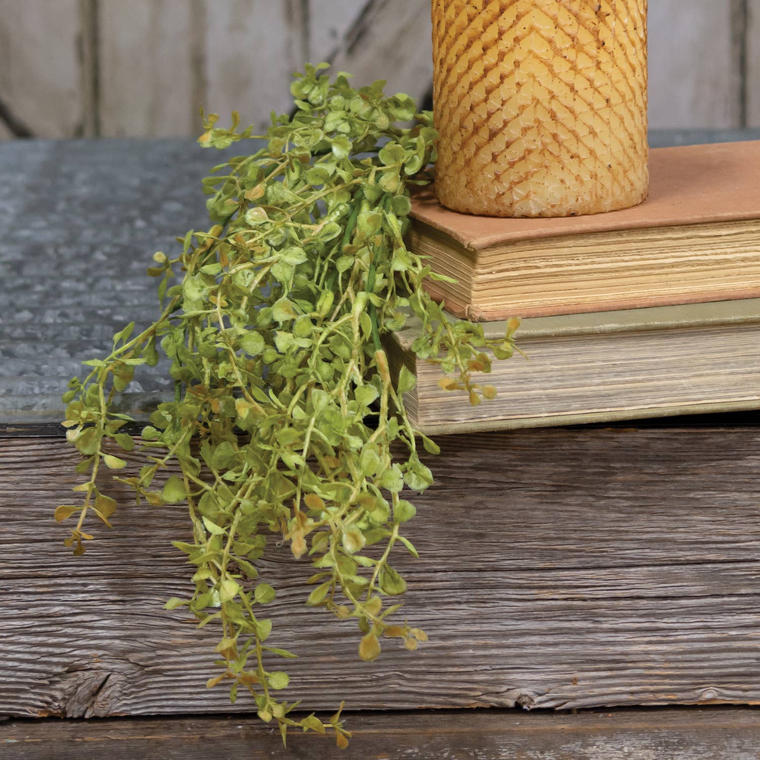 Baby's Grass Hanging Bush