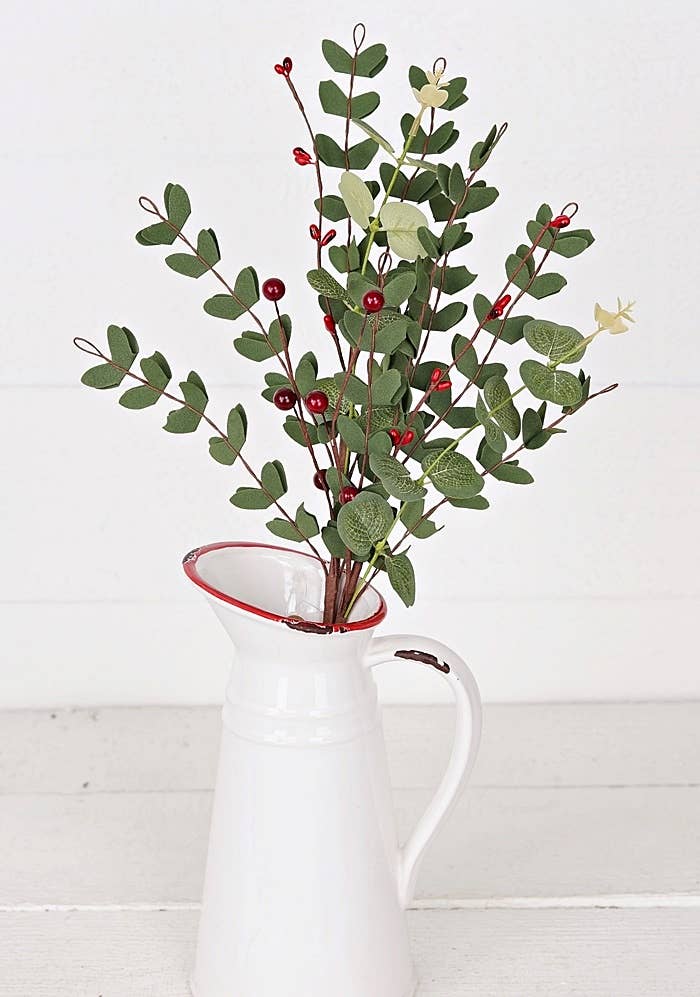 Euclyaptus with Red Berries