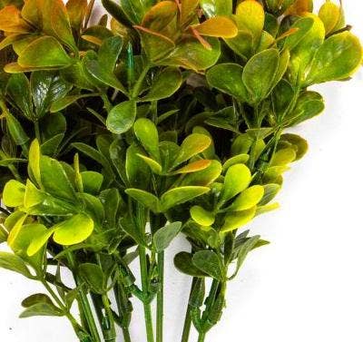 Foliage Bunch, 12 In