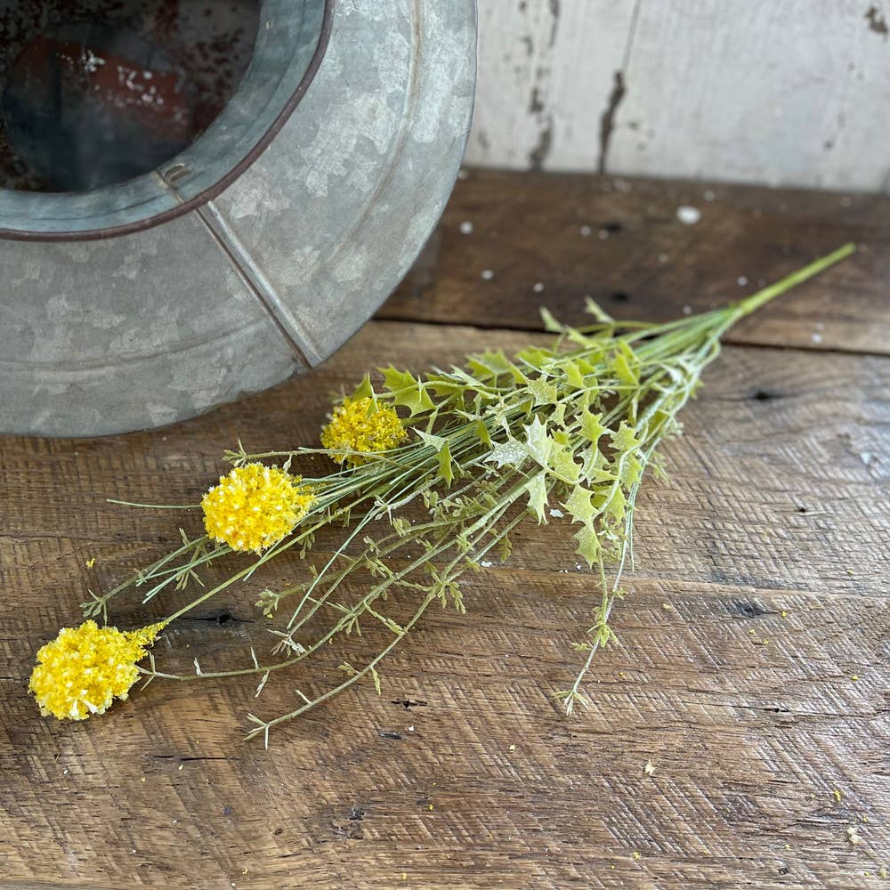Butter Wildflower Spray
