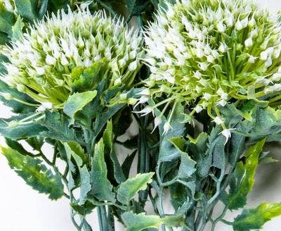Wild Onion Bunch