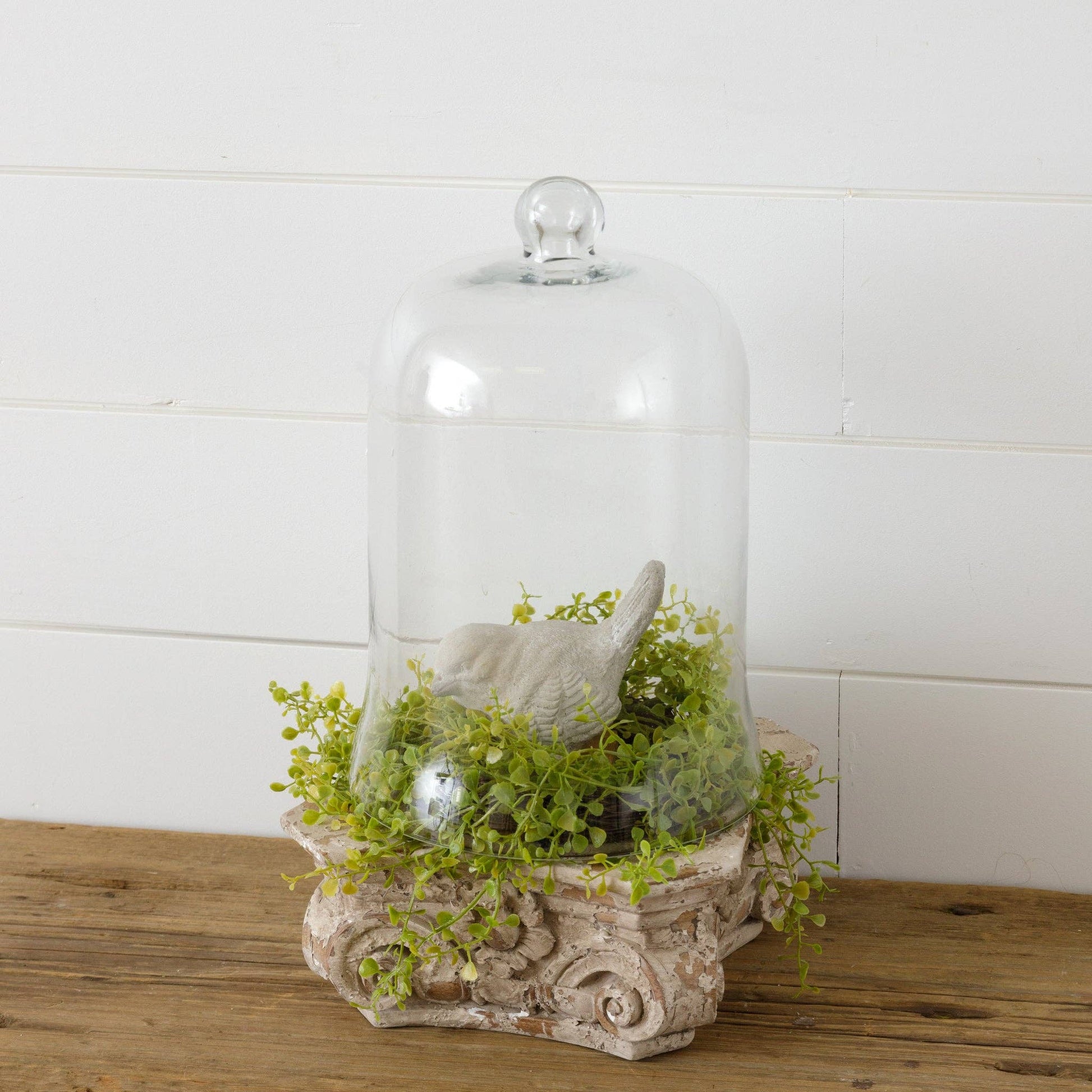Glass Cloche