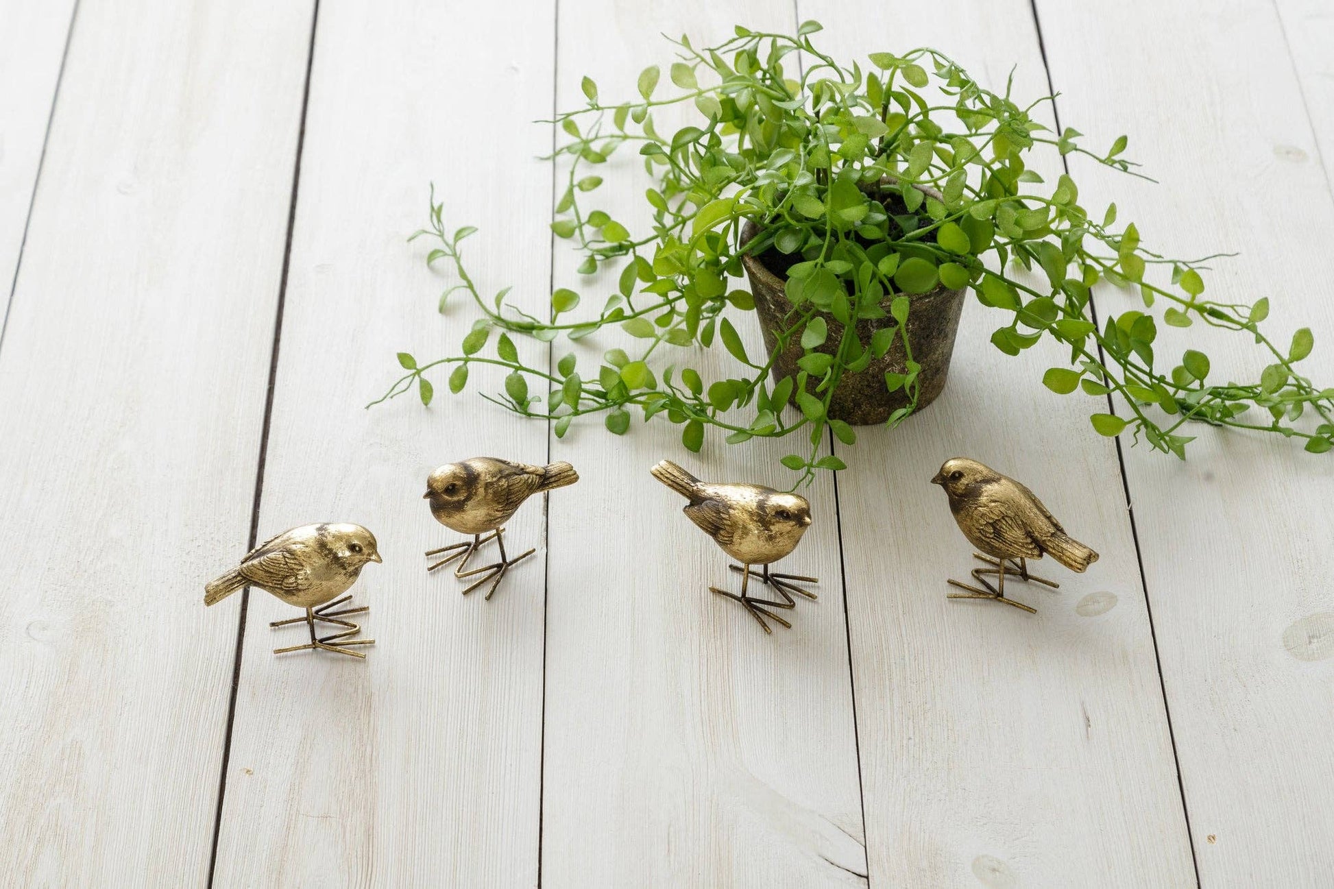 Brass Birds