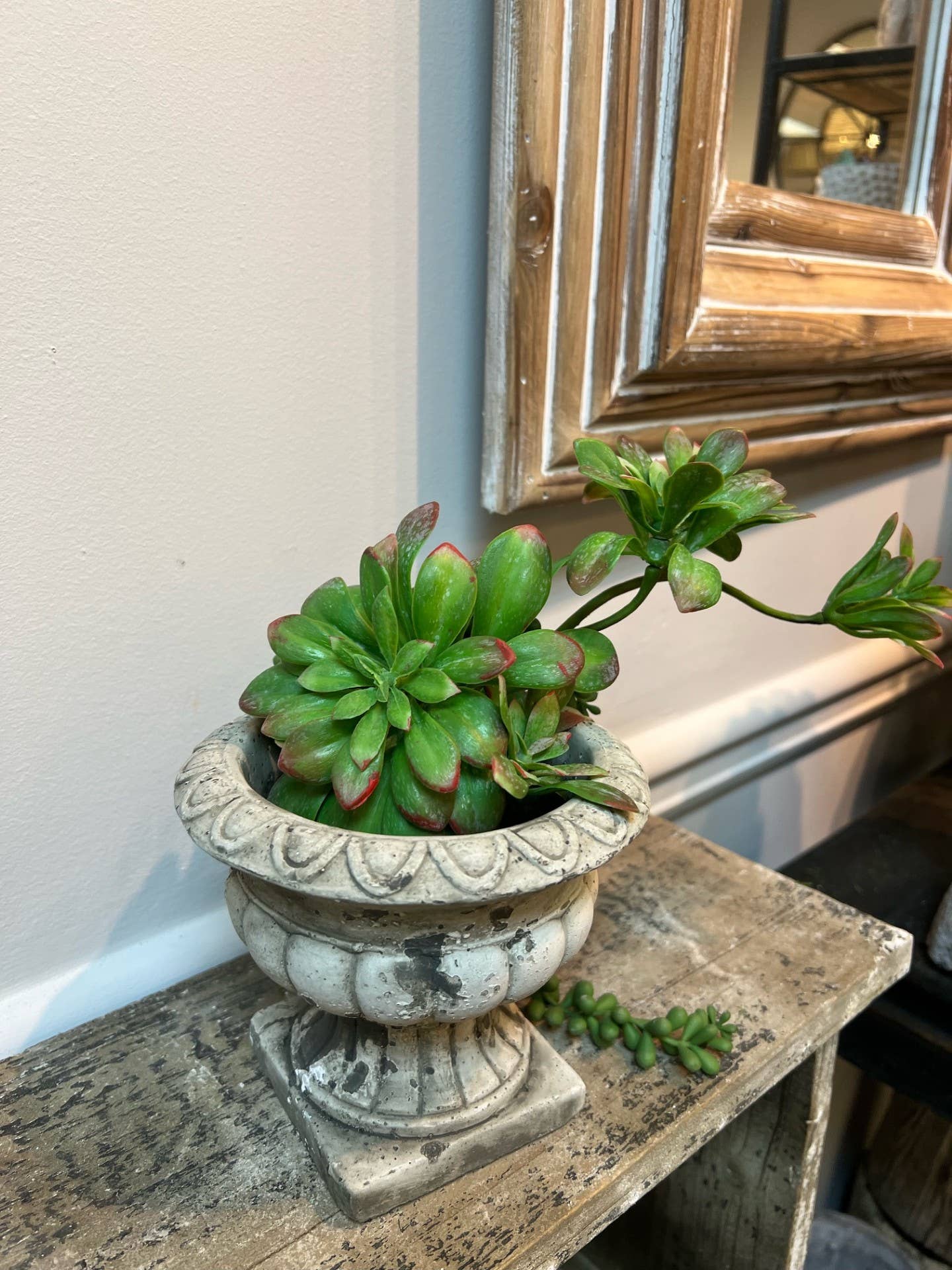 Cement Planter Urn