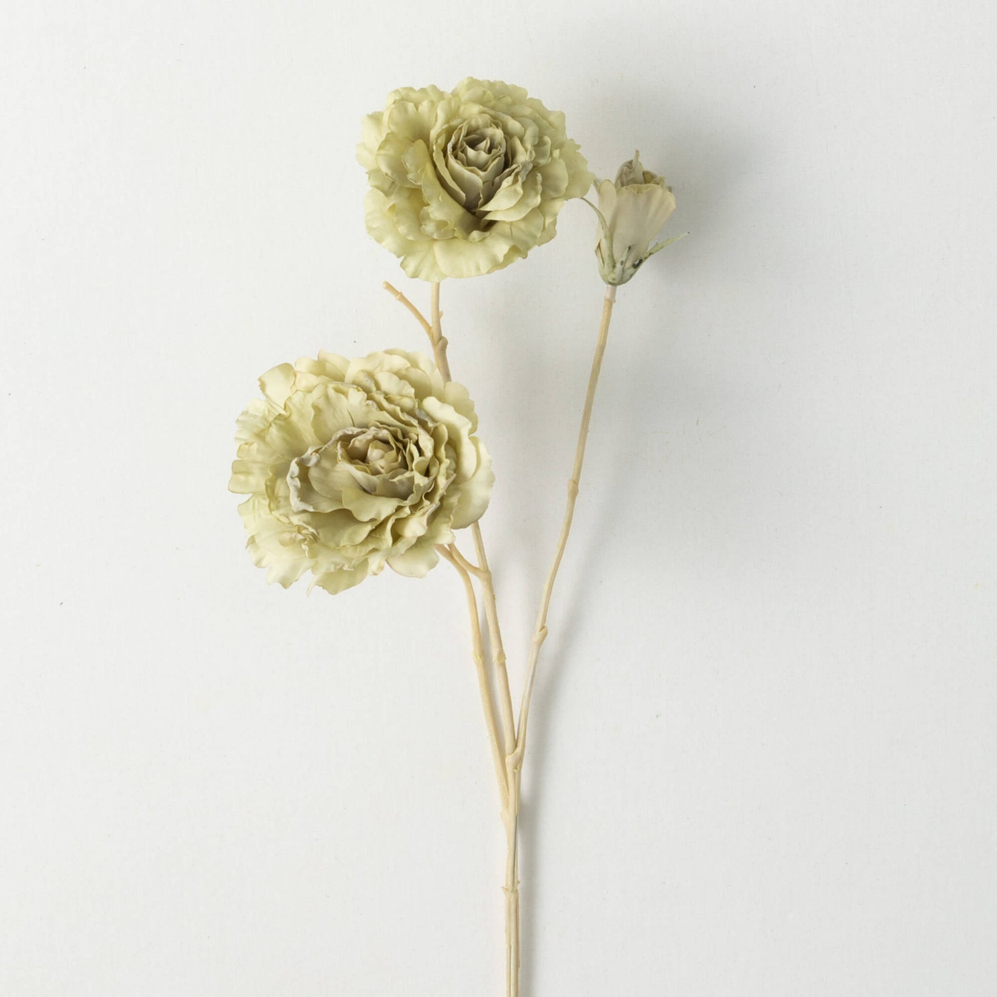 Lisianthus Spray