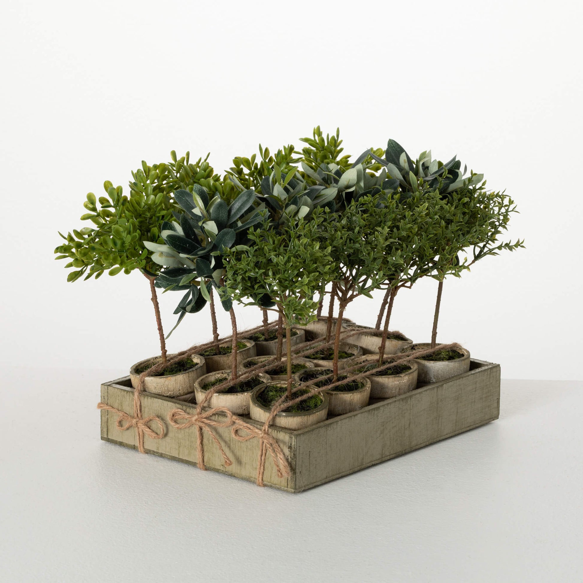 Potted Mini Tree