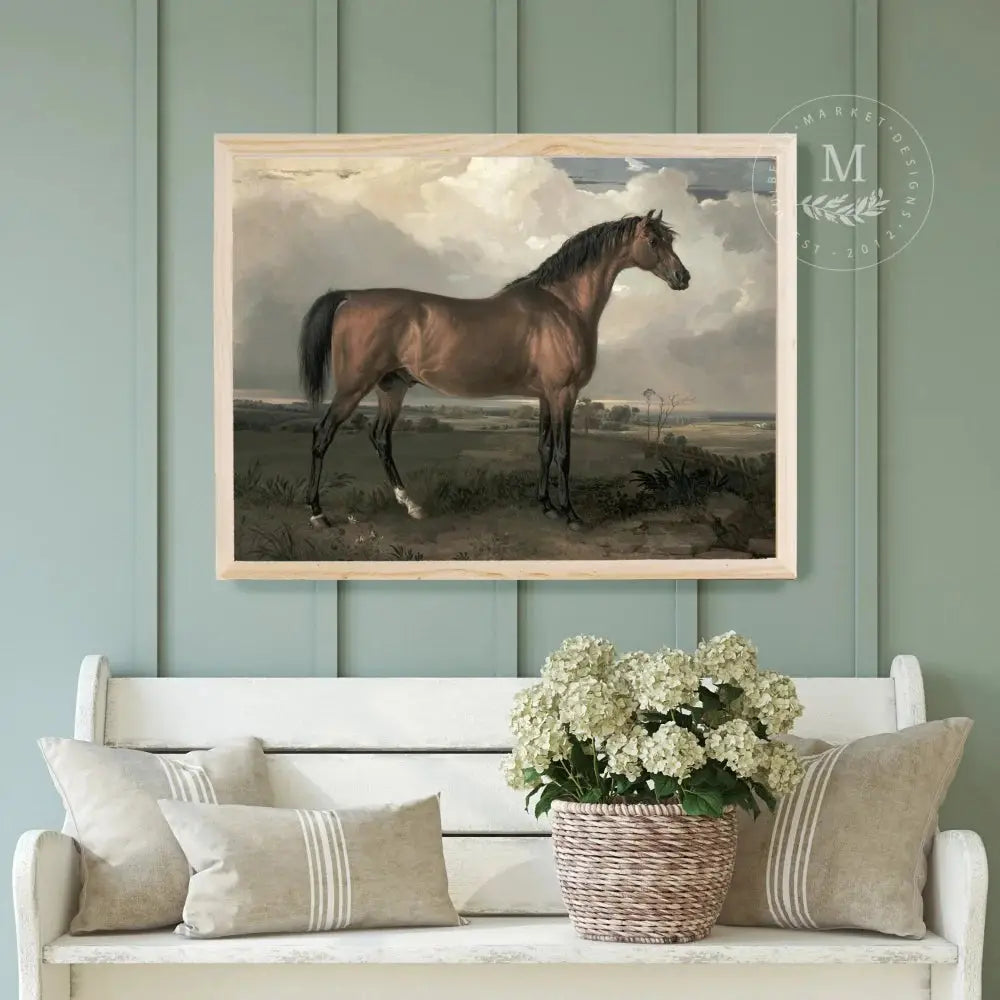Vintage Stallion Art